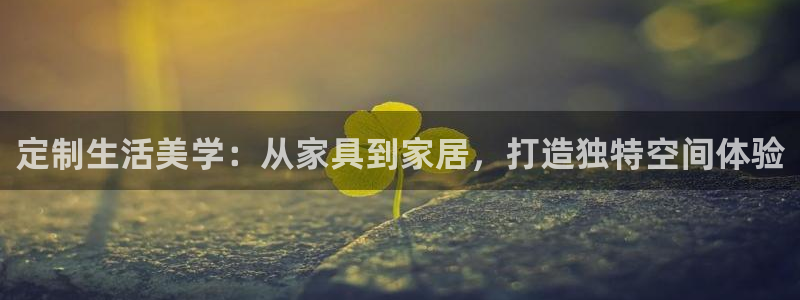 星辉娱乐进入欧联杯了吗