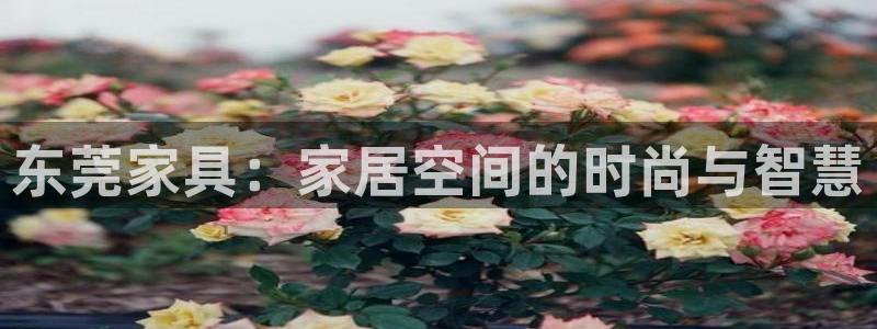 星欧娱乐最新消息今天