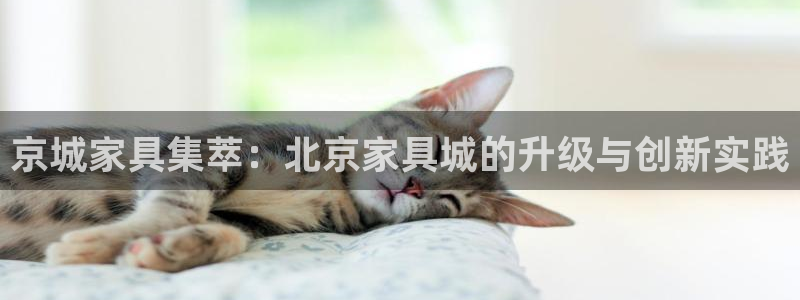欧星娱乐主播
