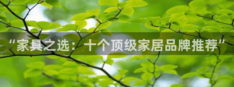 星欧娱乐平台靠谱吗