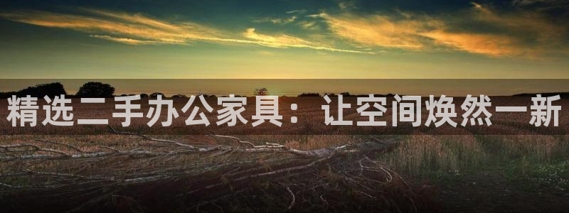 星欧娱乐旗下艺人名单