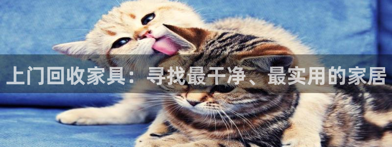 欧星线上娱乐