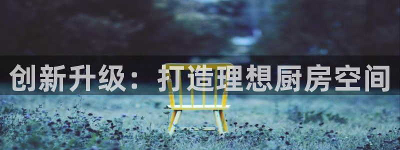 星欧娱乐负责人