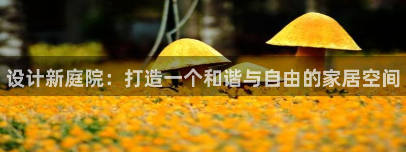 欧星娱乐网址接受