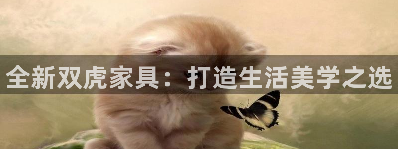 星欧娱乐登陆