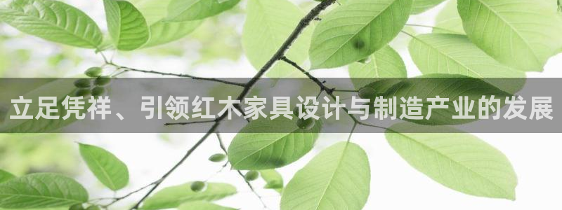 星欧娱乐官网客服电话号码