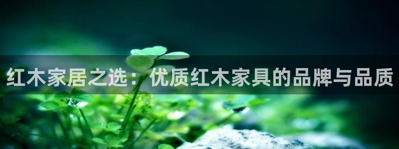 星欧娱乐赞7O777