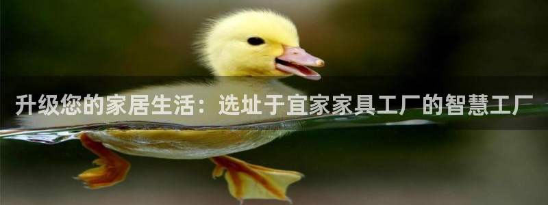 星欧娱乐平台怎么样