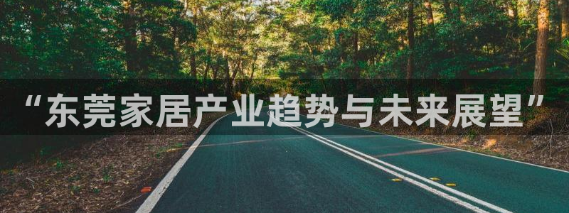 星欧娱乐经纪公司简介