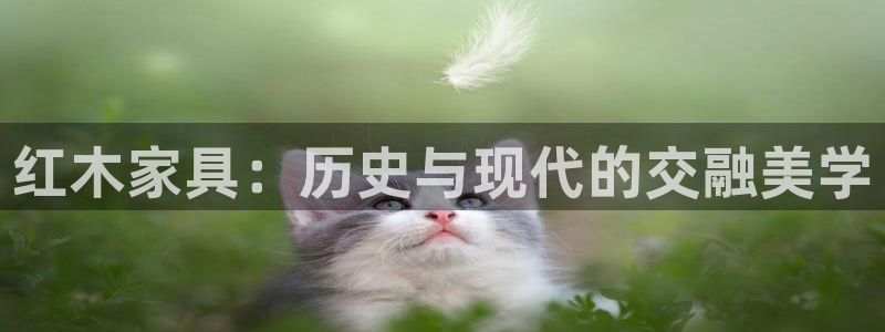 欧星线上娱乐