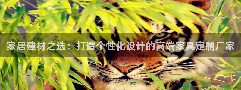 星欧娱乐官网免费下载