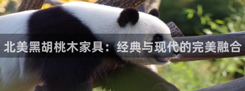 热星娱乐欧豪是谁