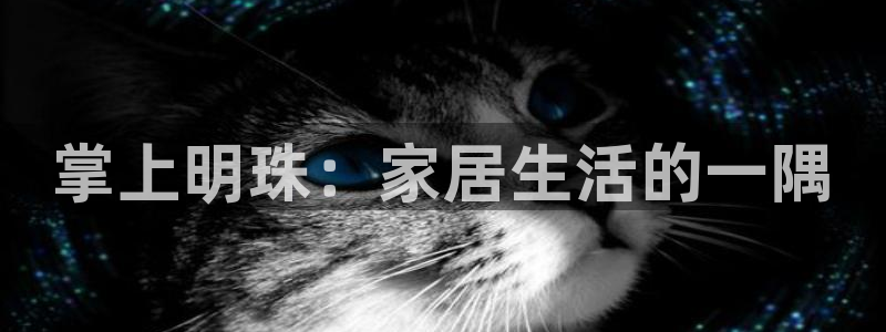 欧乐星城儿童娱乐