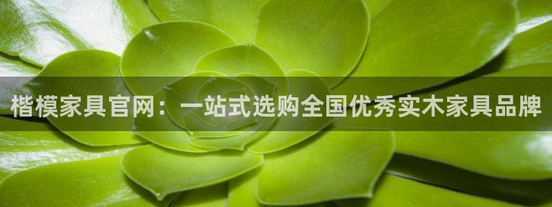 娱乐星天地马思纯欧豪