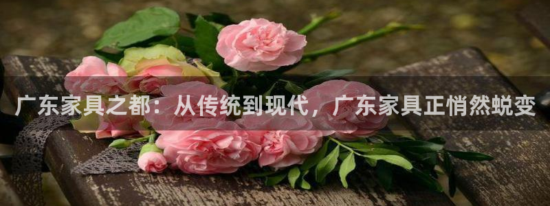 欧乐星城娱乐