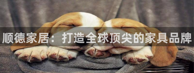 星欧娱乐公司老板背景