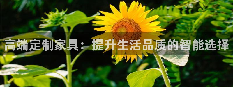 星欧娱乐最近怎么了：高端定制家具：提升生活品质的智能选择