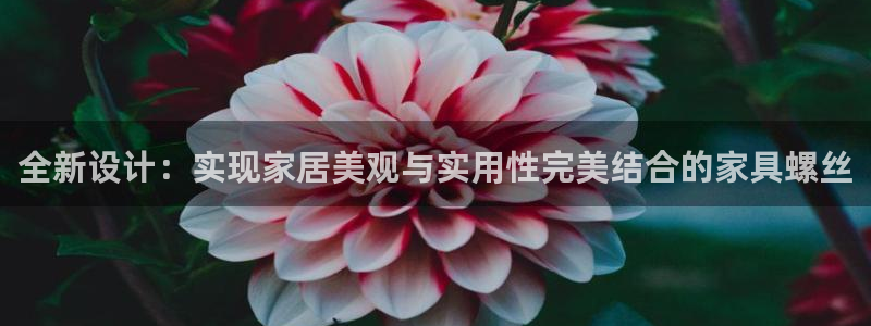 星欧娱乐招商81338