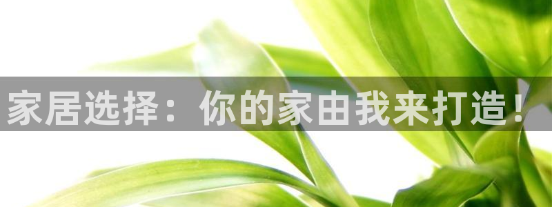 星欧娱乐号7o777